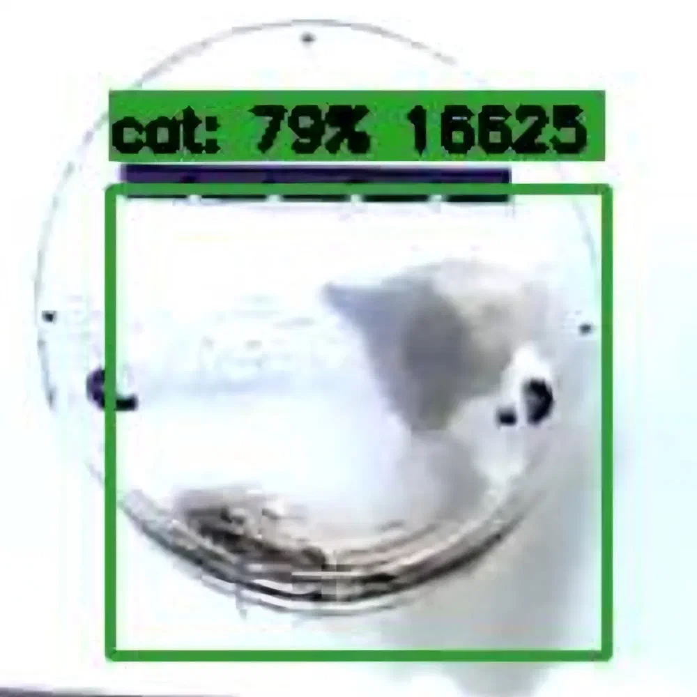 Image from frigate nvr CCTV system showing cat about to enter through cat flap. Green box highlights the cat to show the nvr recognised it.